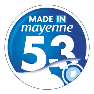MADE IN M. logo P.288C-P.CYAN-RVB