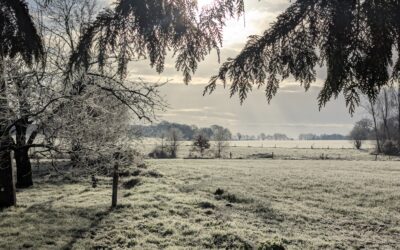 FK kombucha vous souhaite ses meilleurs vœux pour 2026